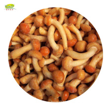 Bulk Distribute Wholesale IQF frozen nameko